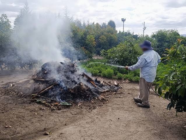 Quito endurece sanciones por quemas: multas de hasta 36 mil dólares