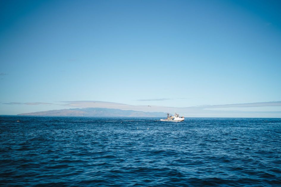 Rescatan en El Salvador a 16 pescadores ecuatorianos desaparecidos desde marzo en aguas del Pacífico