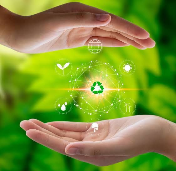 Nueva normativa ambiental rige en cuatro provincias del litoral ecuatoriano a partir del 17 de septiembre