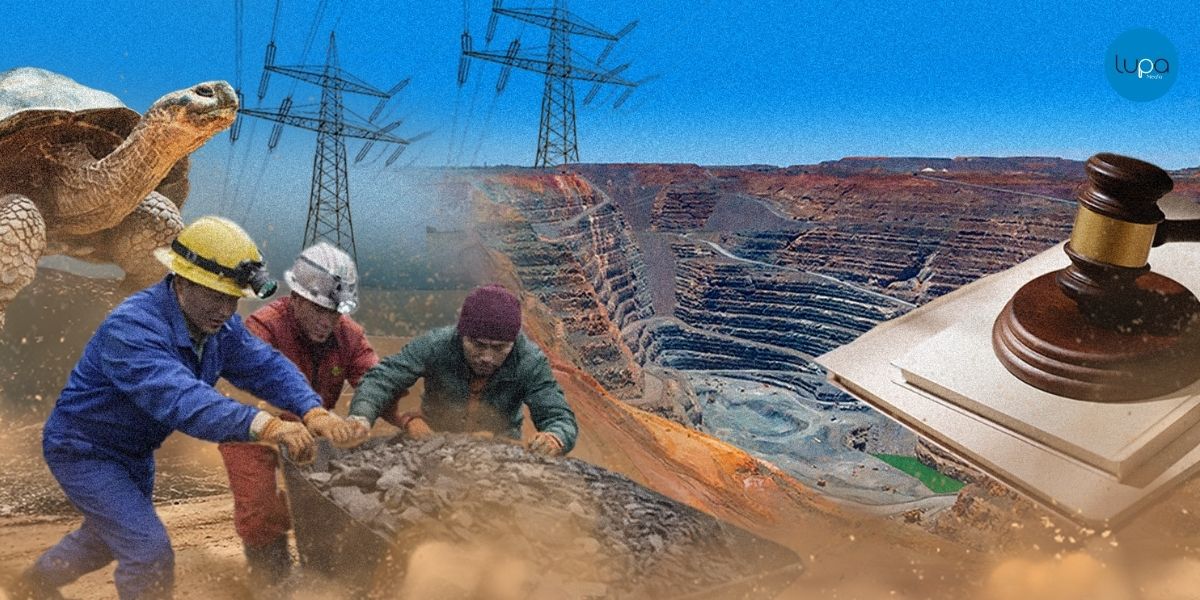 La Ley de Minería y su contexto ambiental: un análisis constitucional