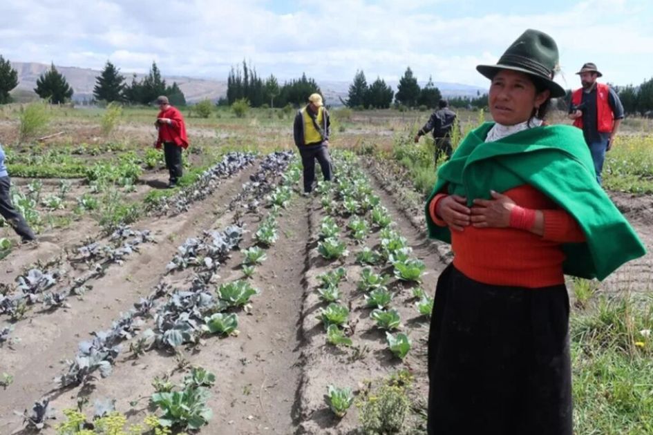 El reto demográfico: ¿Quién alimentará a Ecuador cuando se jubilen sus agricultores?