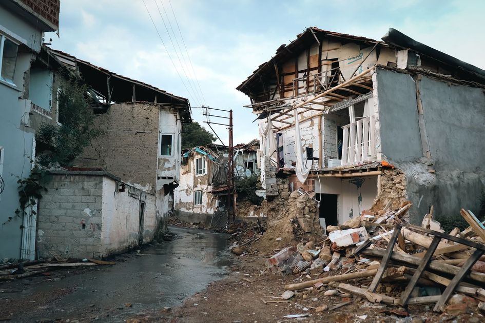 Salomón: El perro que sobrevivió al terremoto colombiano despide a su dueña