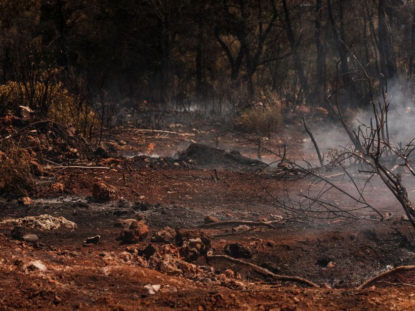 Bomberos de Azogues controlan incendio forestal en Bosque Azul tras alerta temprana