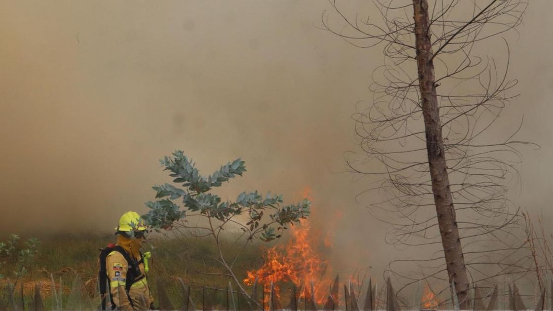 Quito enfrenta 10 incendios forestales: la respuesta del Cuerpo de Bomberos