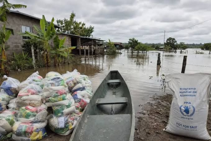 El Niño agrava la crisis alimentaria: 16 millones de latinos bajo alerta