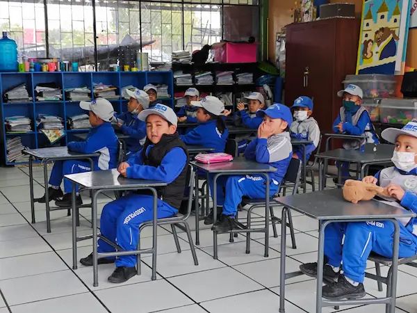 Pedagogía ante la era digital: ¿nueva sabiduría o crisis educativa?