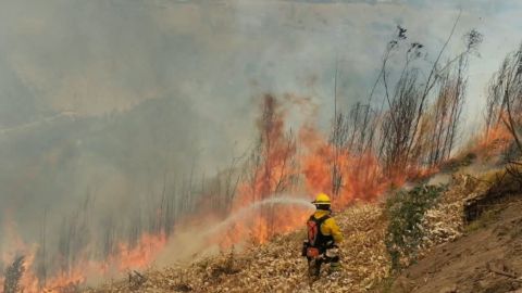 Quito: Bomberos explican cómo denunciar incendios forestales intencionales