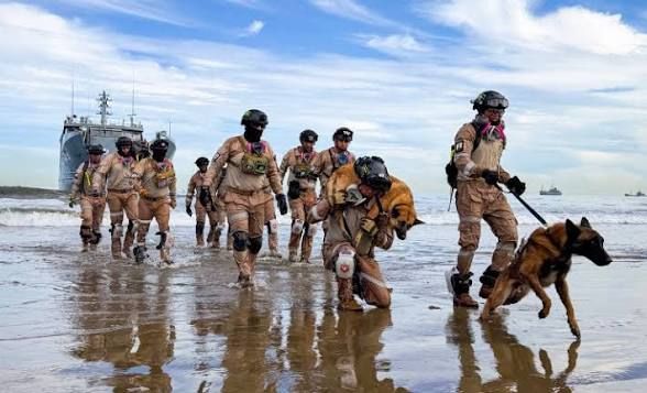 Solidarex V 2026: Siete países simulan respuesta a sismo en Manta