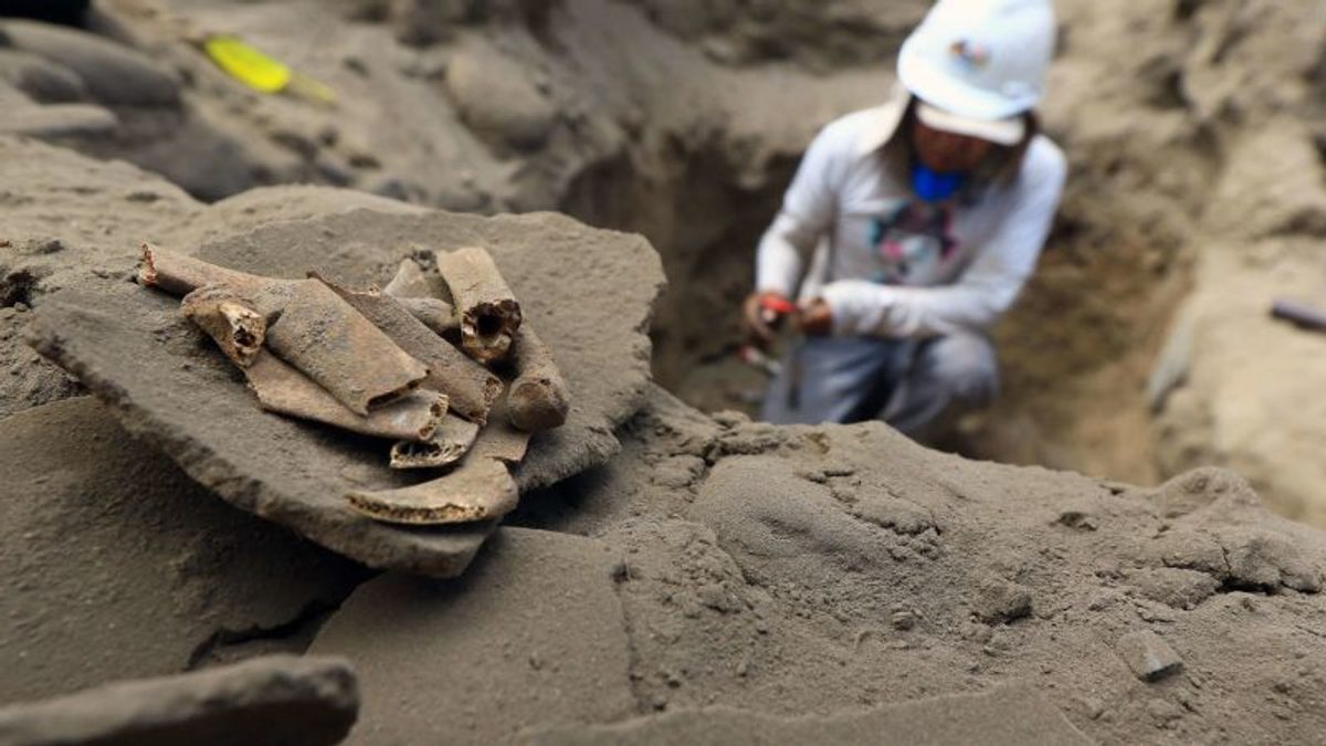 Descubrimiento arqueológico en Perú revela tumba chimú de 600 años con 38 individuos