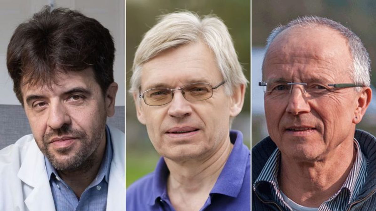 Nobel de Fisiología 2024: El descubrimiento que explica cómo el cerebro construye la memoria