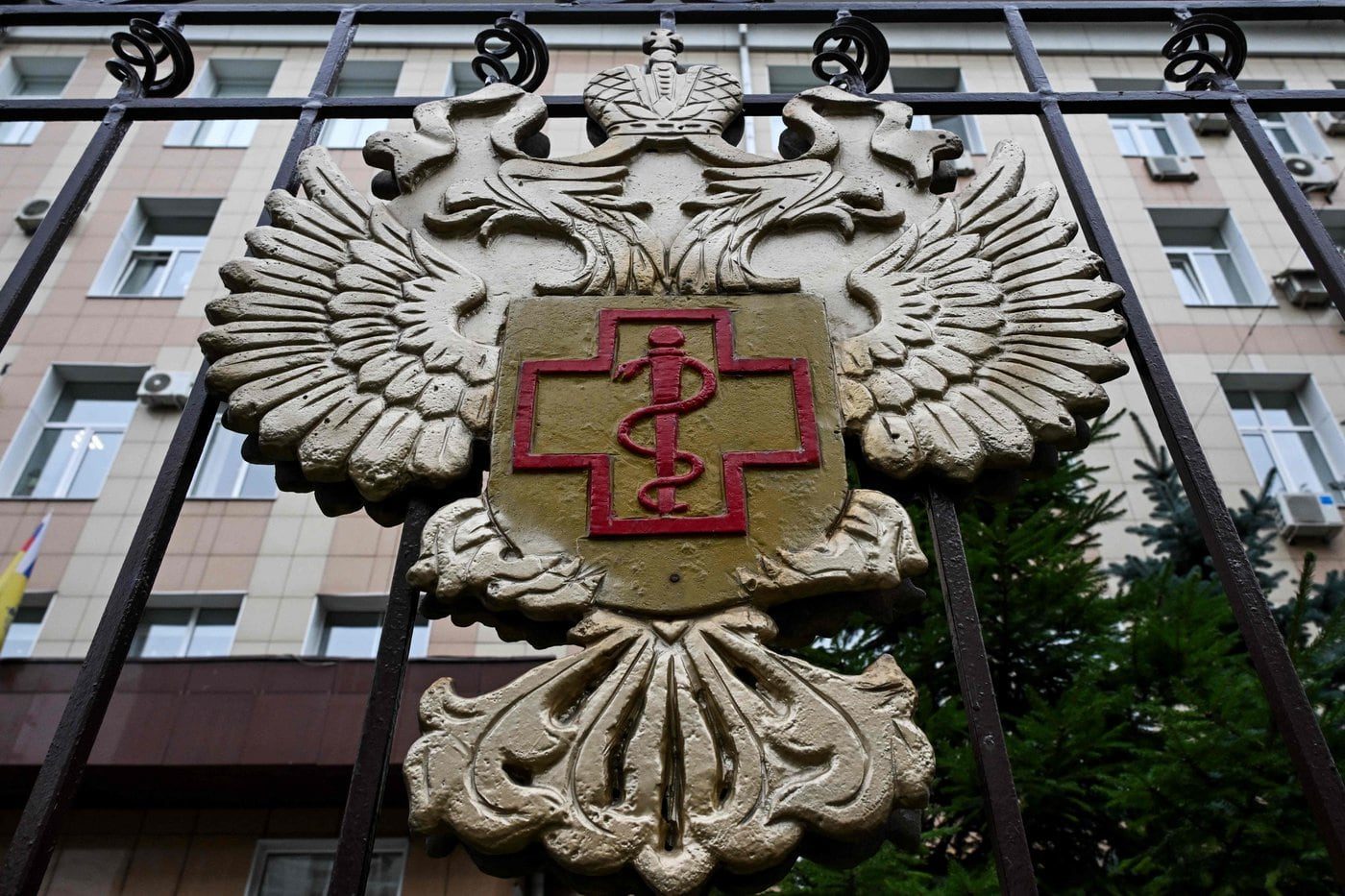 OMS desmiente brote de peste en Irkutsk: Rusia niega contagios tras muerte de investigadora