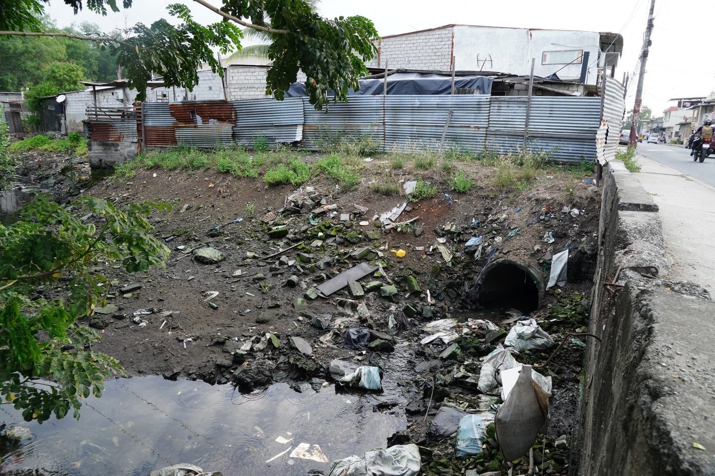 Avistamientos de cocodrilos en canales de Guayaquil despiertan alarma social y exigen gestión ambiental
