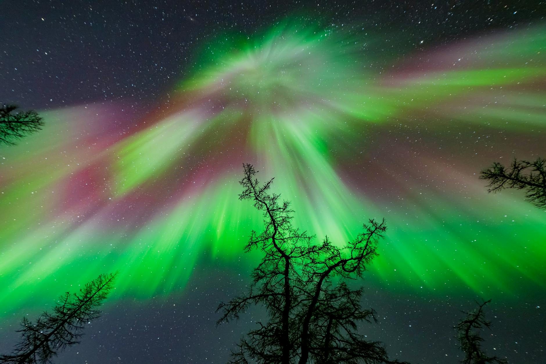 Jessica Meir captura impresionantes auroras australes desde el espacio en un recordatorio global