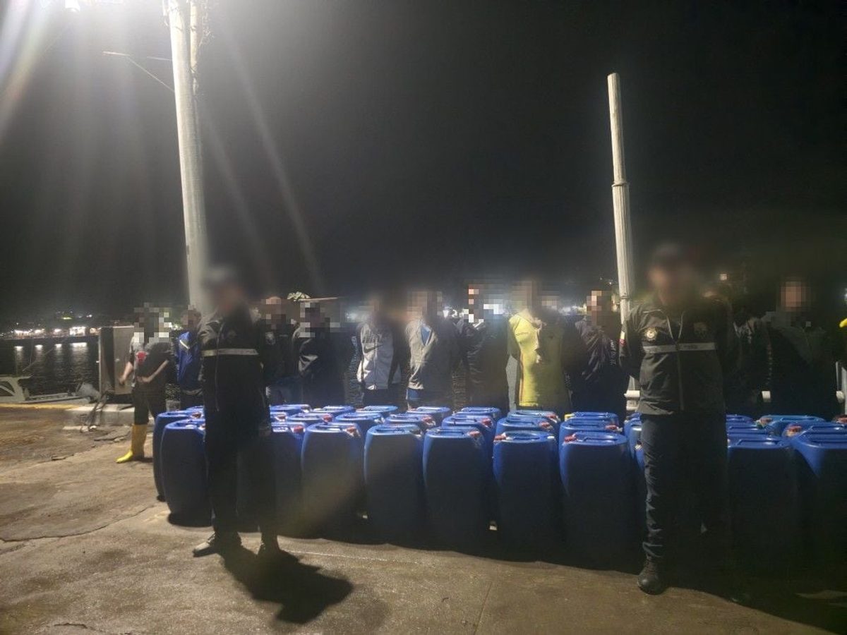 Tráfico de iguanas marinas: ¿Por qué fallan los controles en Galápagos?