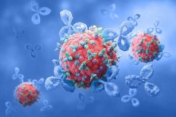Guía clave: 5 pruebas esenciales para detectar cáncer antes de que sea tarde