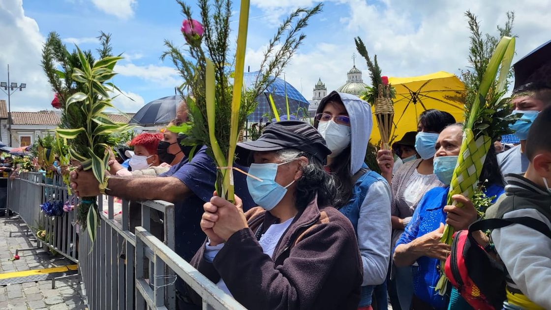 La Plaza de San Pedro da inicio a la Semana Santa con una celebración seguida por millones