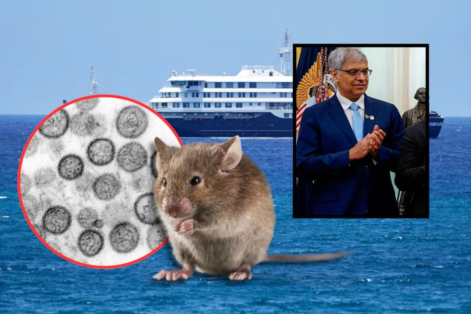 Autoridades de Estados Unidos confirman que el riesgo de hantavirus es muy bajo para el público general