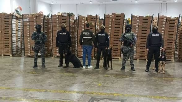 La Policía Nacional desmantela un envío de dos toneladas de cocaína oculta en piñas en Posorja