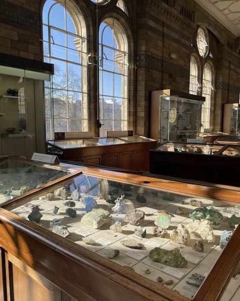 Museo Natural de Londres reabre galería cerrada desde la Segunda Guerra Mundial