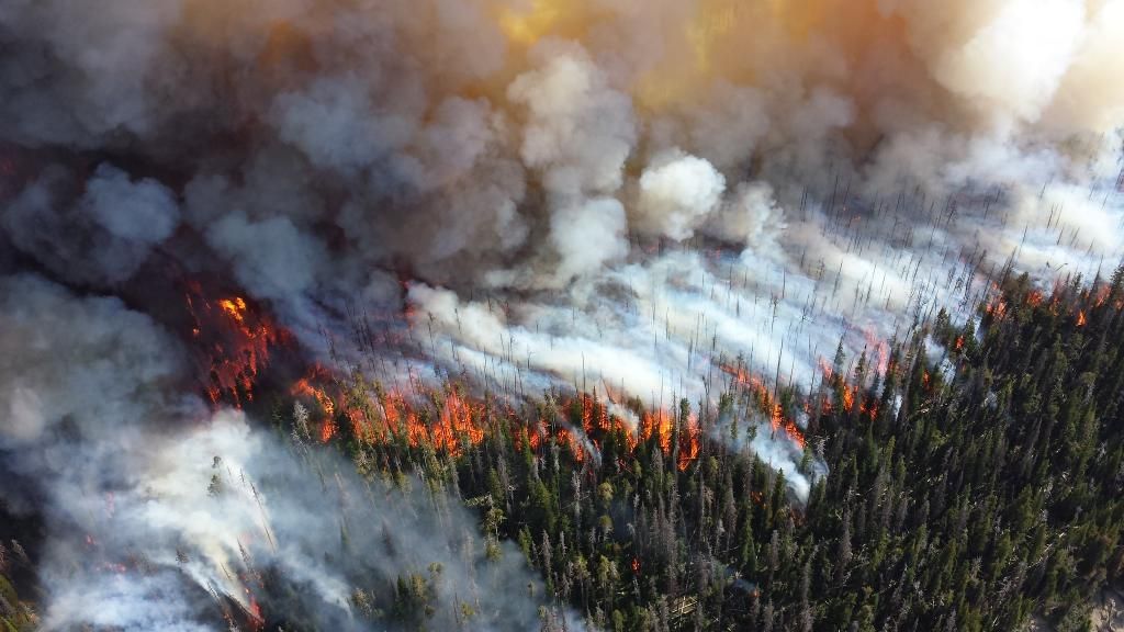 Canadá declara emergencia por 893 incendios: humo asfixia EE.UU.