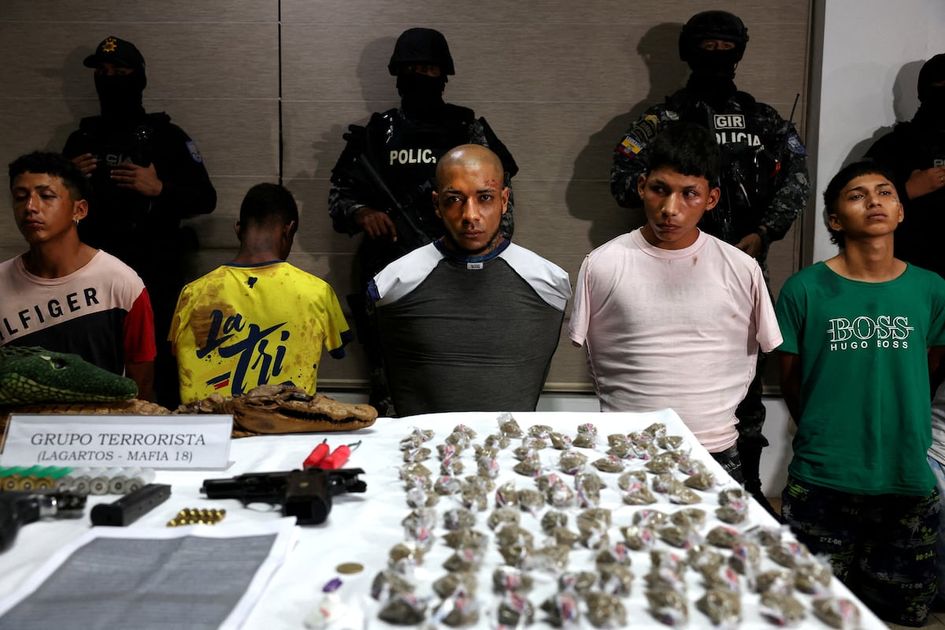 Operativos conjuntos contra Los Lobos y Los Lagartos desarticulan redes de narcotráfico en Guayas y Manabí
