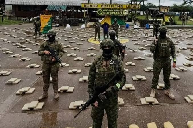 Fuerzas Armadas desarticularon redes criminales y decomisaron millones de drogas en operaciones fronterizas