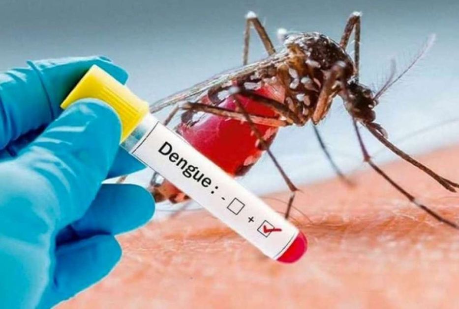 Ecuador marca un hito histórico al alcanzar cero casos de dengue en abril de 2026 tras gestión integral