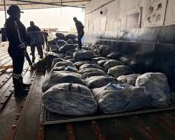 Decomisan 21.897 aletas de tiburón en aeropuerto de Guayaquil: Señal de éxito en la lucha contra el tráfico ilegal