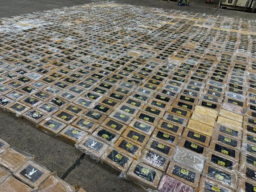 Operación militar descubre guarida criminal disfrazada de camaronera en El Oro